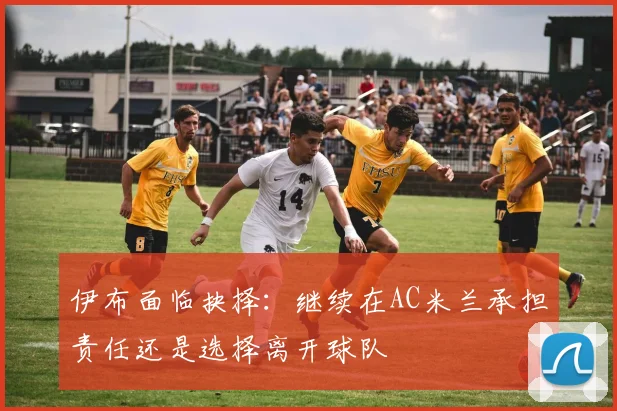 伊布面临抉择：继续在AC米兰承担责任还是选择离开球队